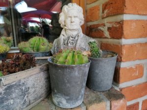 Dekoration mit kleiner Statue und Kaktus