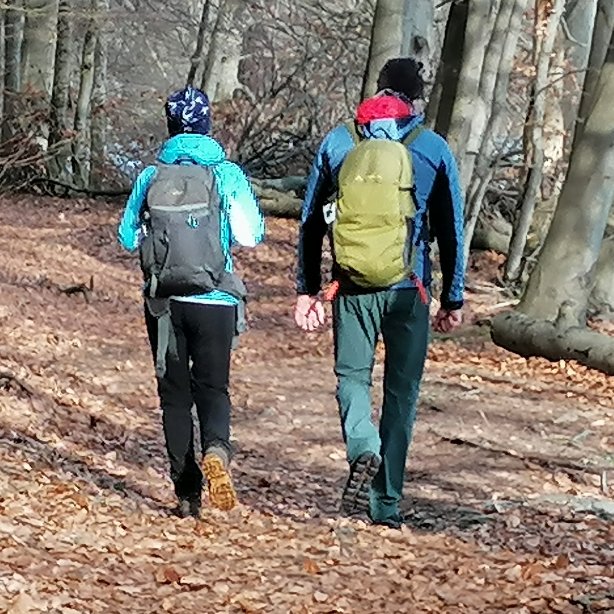 Ein Paar wandert im Vorfrühling durch einen Buchenwald