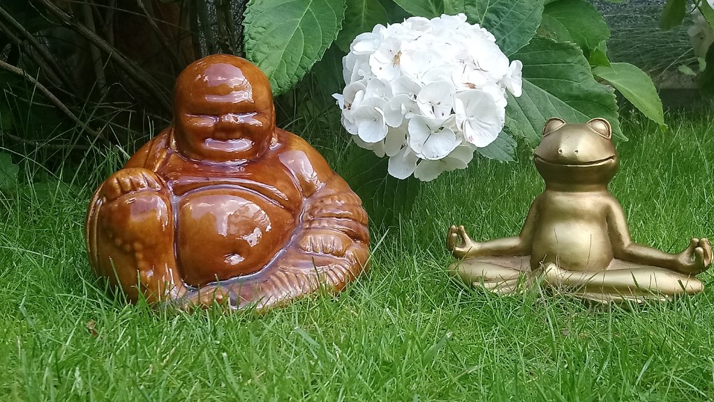 Buddha und Froschfigur versinnbildlichen Yoga